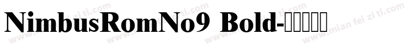 NimbusRomNo9 Bold字体转换